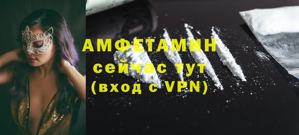 твердый Вяземский