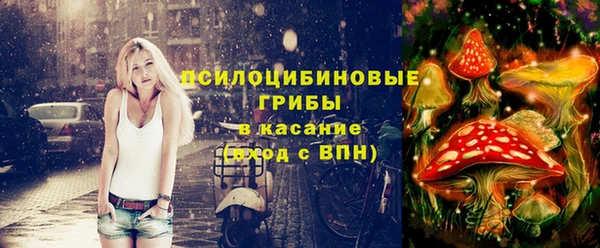 винт Горняк