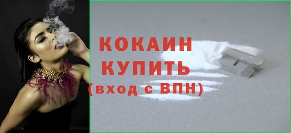винт Горняк