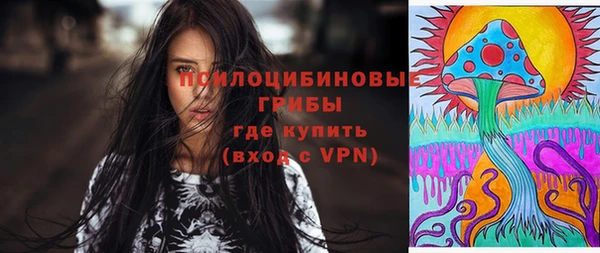 винт Горняк