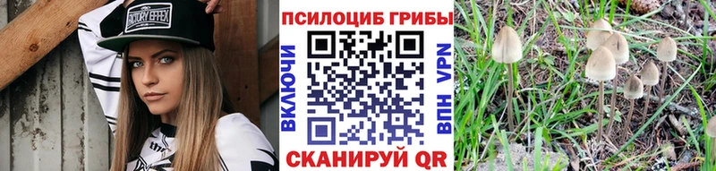 Купить закладки  Лодейное Поле  Галлюциногенные грибы GOLDEN TEACHER 